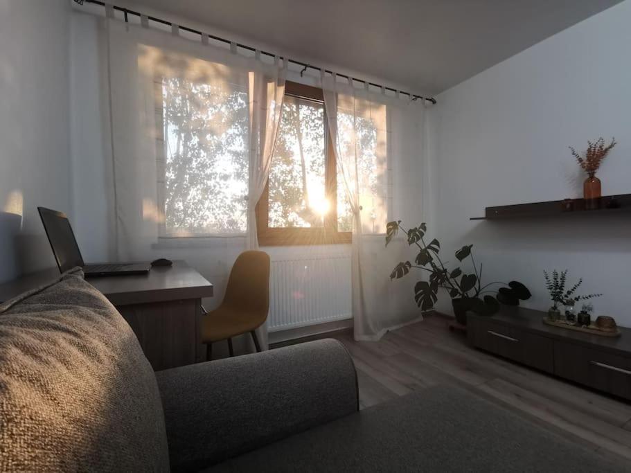 Apartament Gulliver In Centrul Vechi Iasi Exterior foto