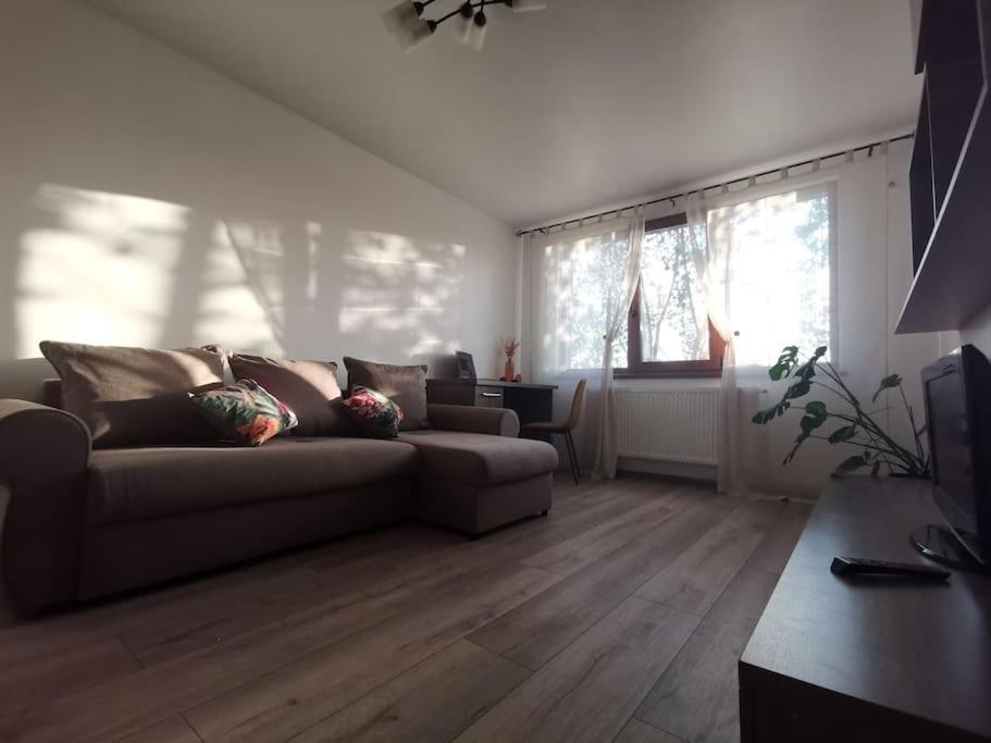 Apartament Gulliver In Centrul Vechi Iasi Exterior foto