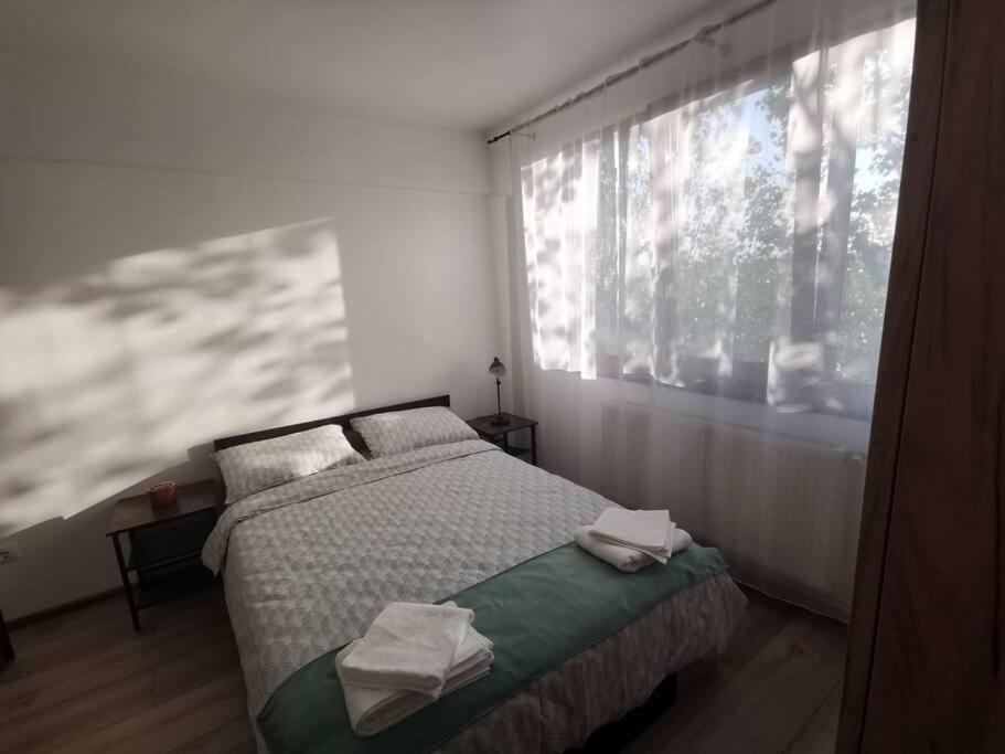 Apartament Gulliver In Centrul Vechi Iasi Exterior foto