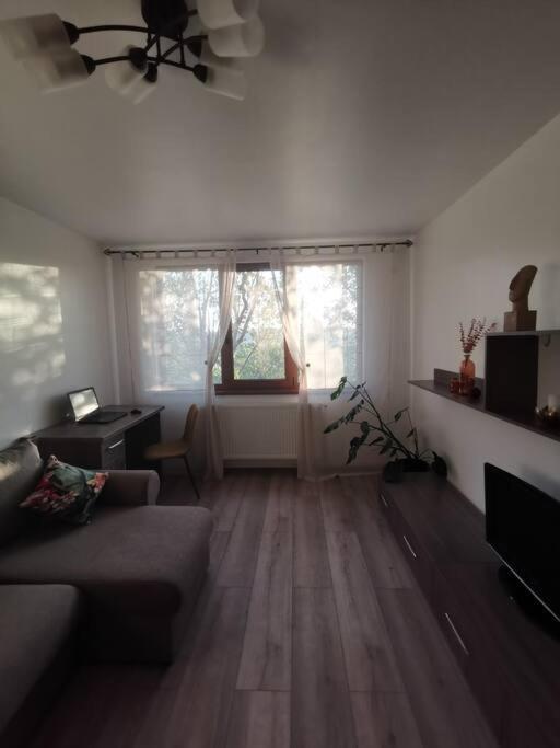 Apartament Gulliver In Centrul Vechi Iasi Exterior foto